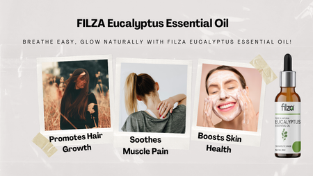 Refresh, Relax & Rejuvenate: Discover the Benefits of FILZA Eucalyptus Essential Oil