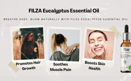 Refresh, Relax & Rejuvenate: Discover the Benefits of FILZA Eucalyptus Essential Oil