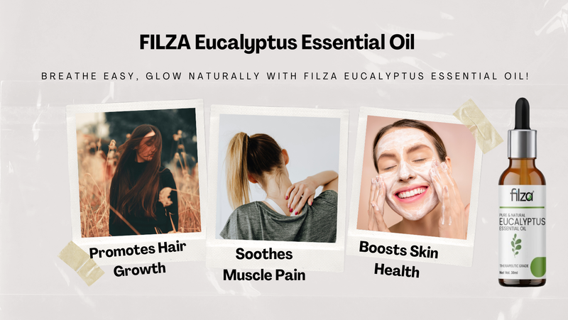 Refresh, Relax & Rejuvenate: Discover the Benefits of FILZA Eucalyptus Essential Oil