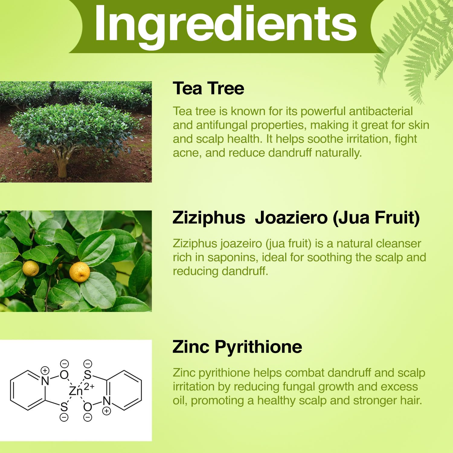 MNT Tea Tree Anti-Dandruff Shampoo 300ml – Eliminates Flakes, Relieves Itchy Scalp, Refreshes Hair, Nourishing Formula for All Hair Types.